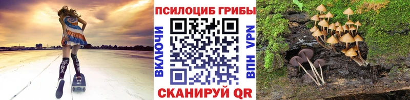 где купить наркоту  Свирск  Псилоцибиновые грибы мухоморы 